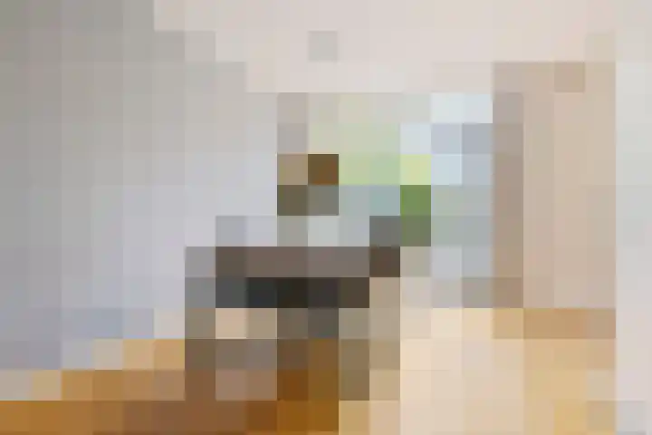 Lidwinastraat 8 Vught thumbnail 4