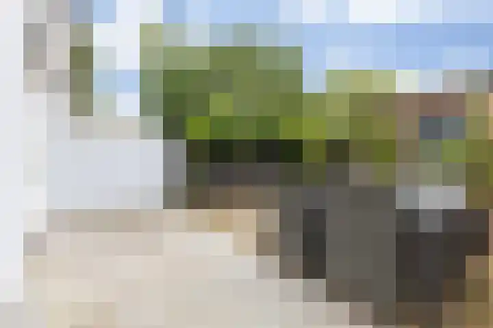 Lidwinastraat 8 Vught thumbnail 40