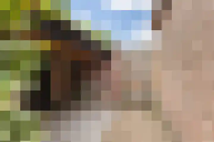 Lidwinastraat 8 Vught thumbnail 41