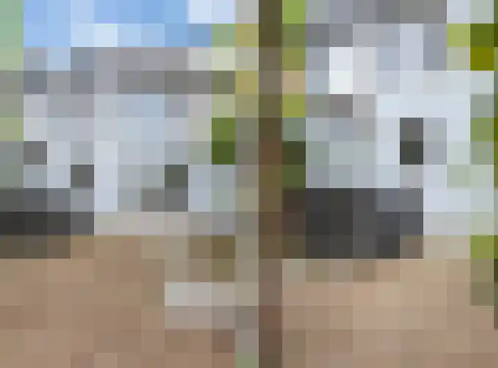 Lidwinastraat 8 Vught thumbnail 42