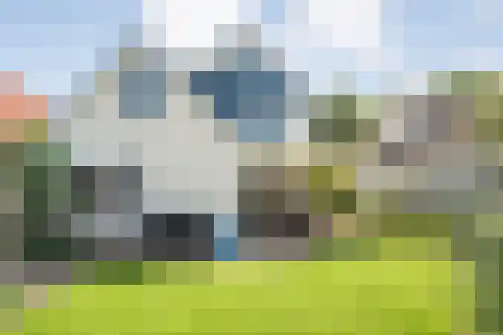 Liebeek 22 Almelo thumbnail 29
