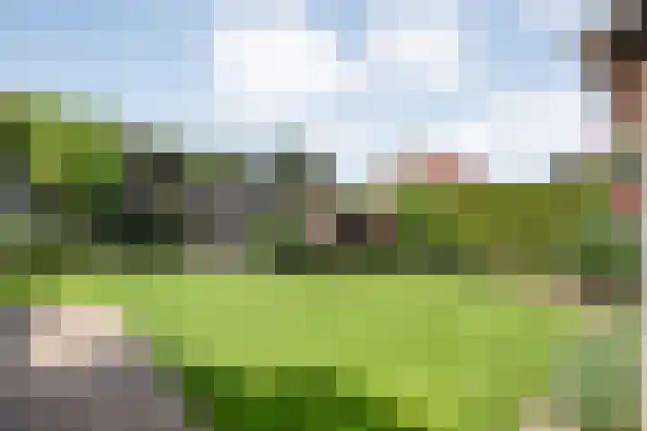 Liebeek 22 Almelo thumbnail 30