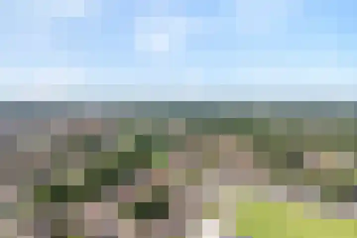 Liebeek 22 Almelo thumbnail 35
