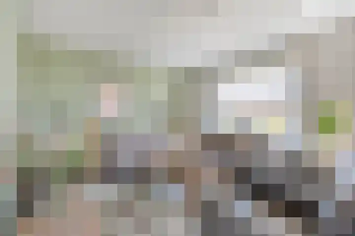 Liebeek 22 Almelo thumbnail 9