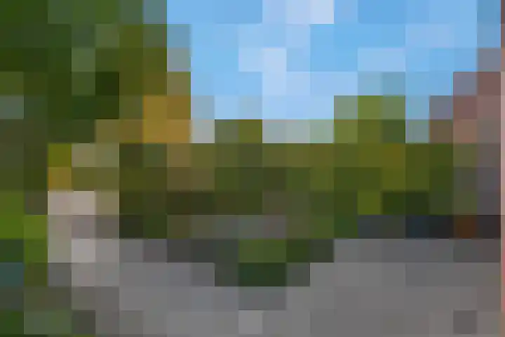Liebeek 51 Ede thumbnail 39