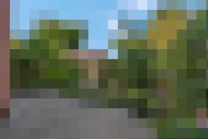 Liebeek 51 Ede thumbnail 40