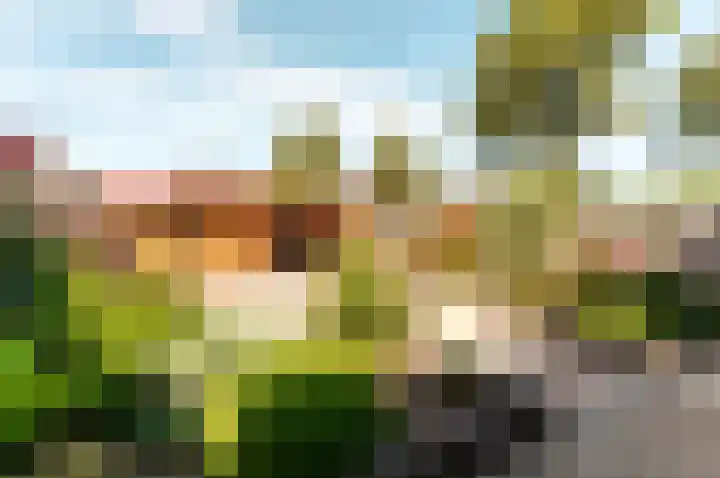 Liemers 9 Lelystad thumbnail 36
