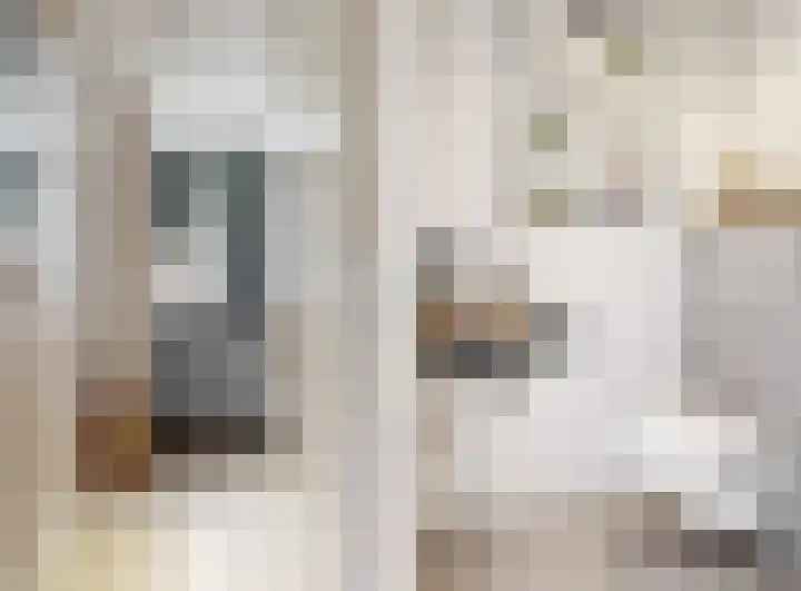 Lienweid 2 Blokker thumbnail 11
