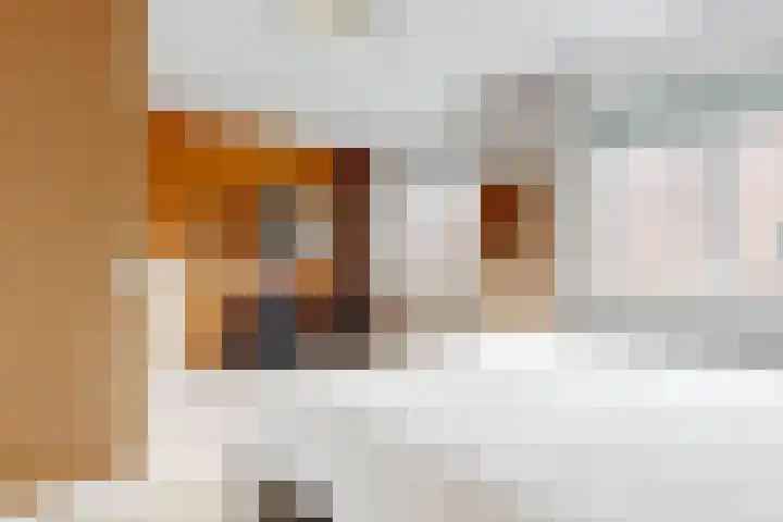 Lienweid 2 Blokker thumbnail 14