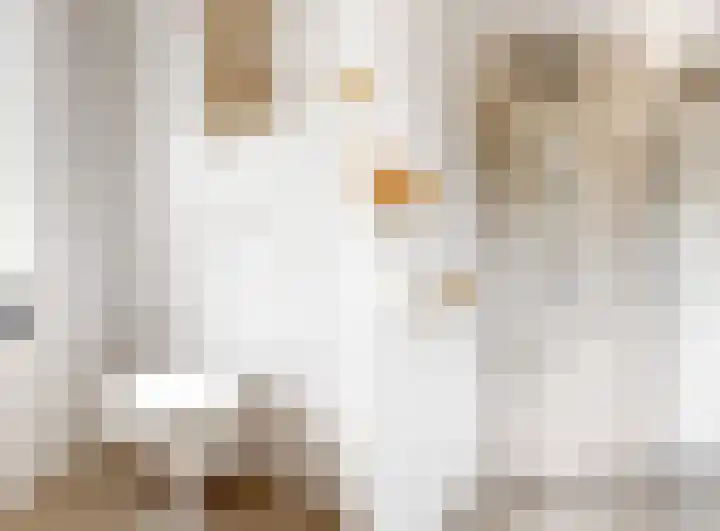 Lienweid 2 Blokker thumbnail 17