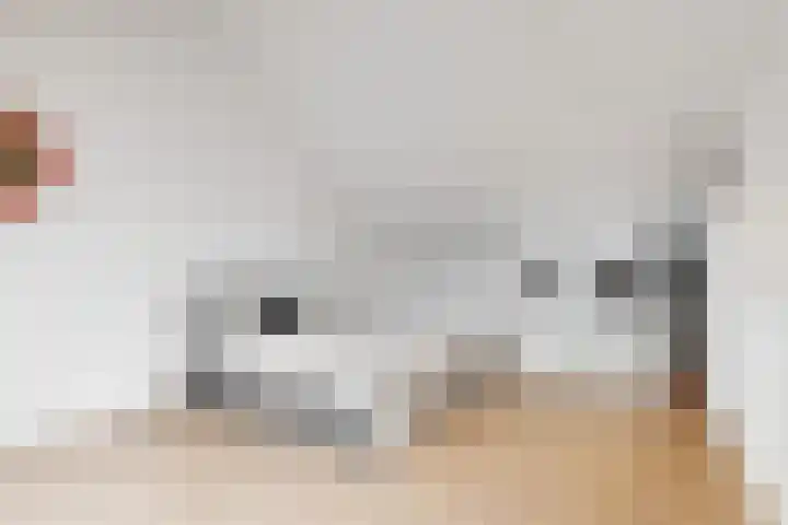 Lienweid 2 Blokker thumbnail 22