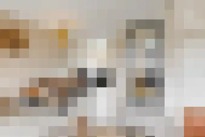 Lienweid 2 Blokker thumbnail 7