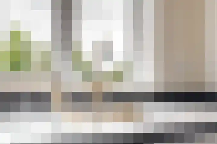 Lienweid 2 Blokker thumbnail 9