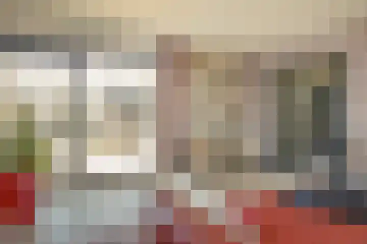 Lieoever 40 Haarlem thumbnail 20