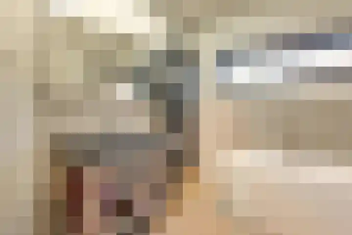 Lieoever 40 Haarlem thumbnail 30