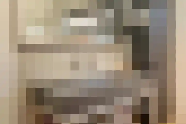 Lieoever 40 Haarlem thumbnail 31