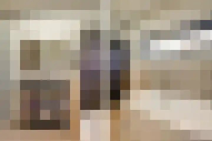 Lieoever 40 Haarlem thumbnail 33