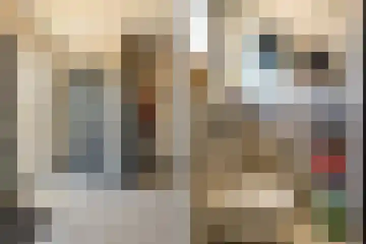 Lieoever 40 Haarlem thumbnail 34