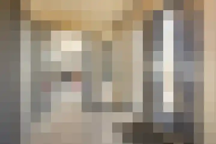 Lieoever 40 Haarlem thumbnail 36
