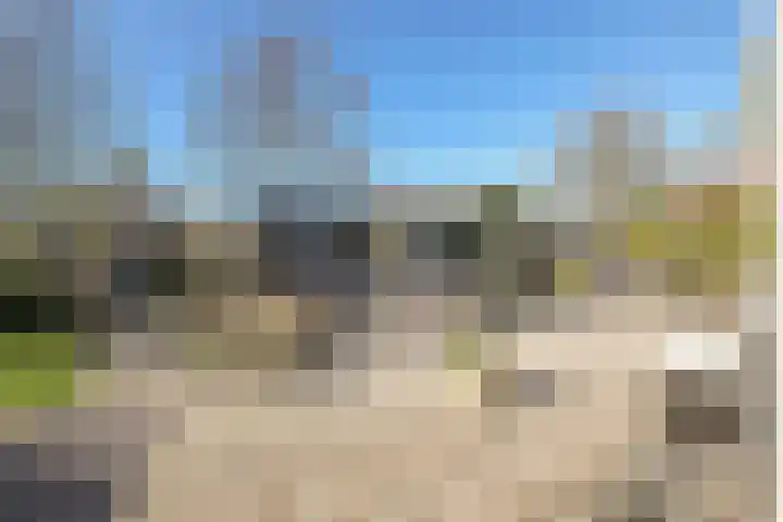 Lieoever 40 Haarlem thumbnail 40