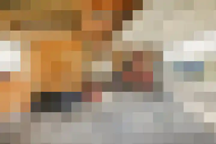 Lieoever 40 Haarlem thumbnail 54