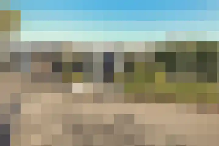 Lieoever 40 Haarlem thumbnail 60