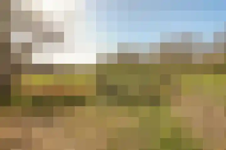 Lieoever 40 Haarlem thumbnail 64
