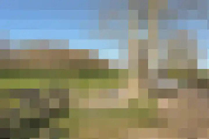 Lieoever 40 Haarlem thumbnail 65
