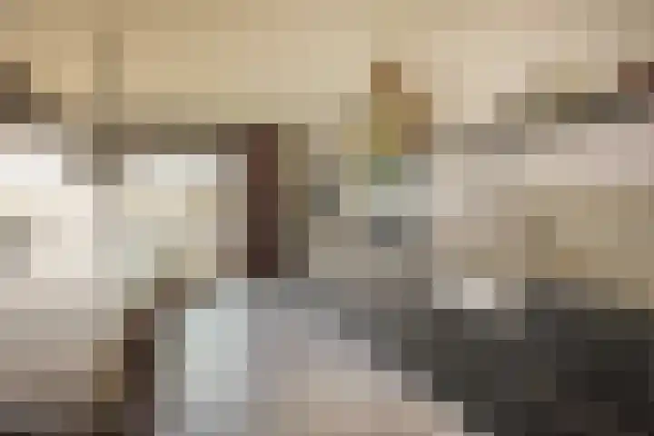 Lieoever 40 Haarlem thumbnail 8