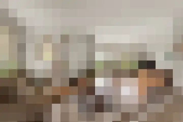 Lier 22 Zevenaar thumbnail 10