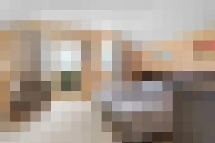 Lier 22 Zevenaar thumbnail 26