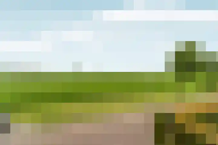 Lier 22 Zevenaar thumbnail 32