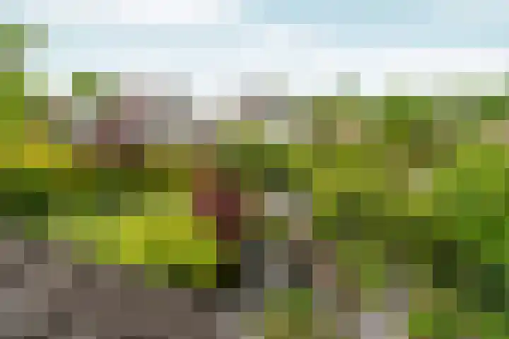 Lier 22 Zevenaar thumbnail 38