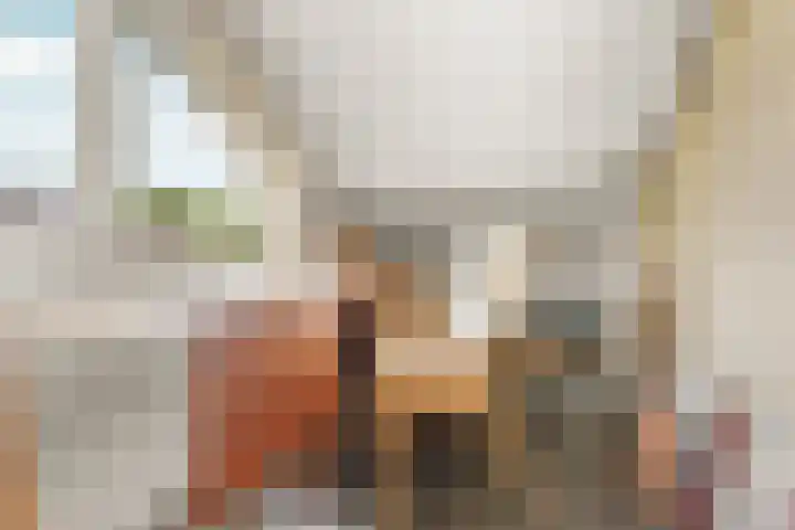 Lier 22 Zevenaar thumbnail 43