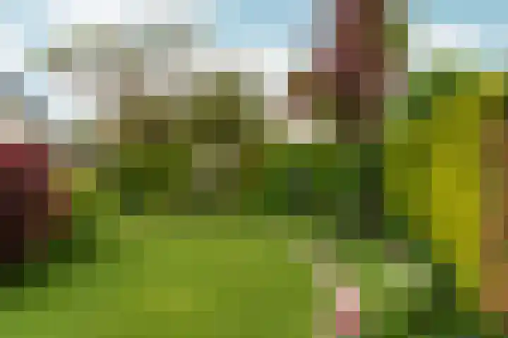 Lier 22 Zevenaar thumbnail 46