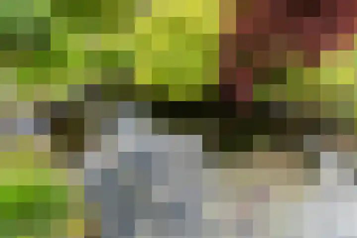 Lier 22 Zevenaar thumbnail 50