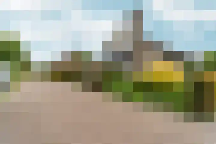 Lier 22 Zevenaar thumbnail 57