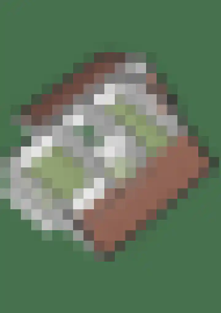 Lier 22 Zevenaar thumbnail 62