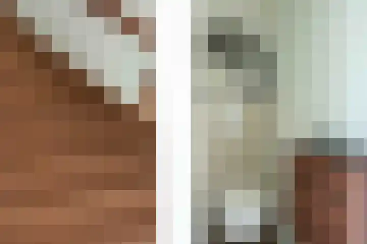 Lierdererf 4 Lieren thumbnail 11