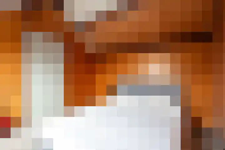 Lierdererf 4 Lieren thumbnail 23