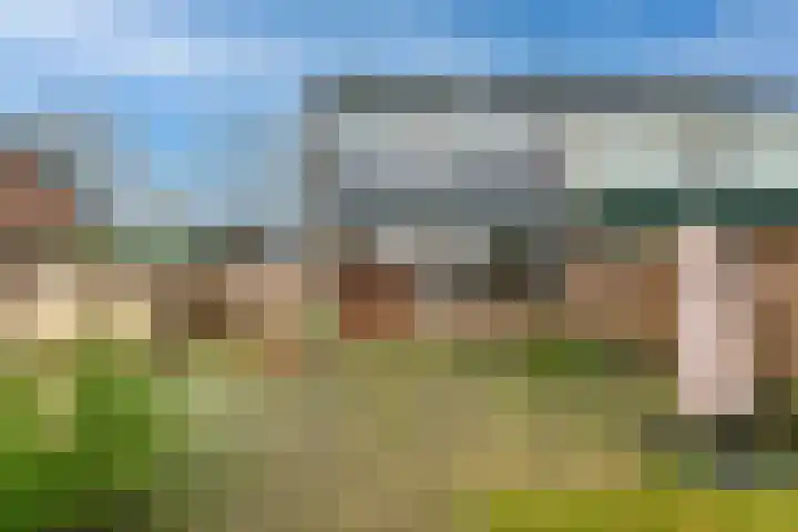 Lierdererf 4 Lieren thumbnail 24