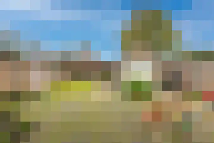 Lierdererf 4 Lieren thumbnail 25