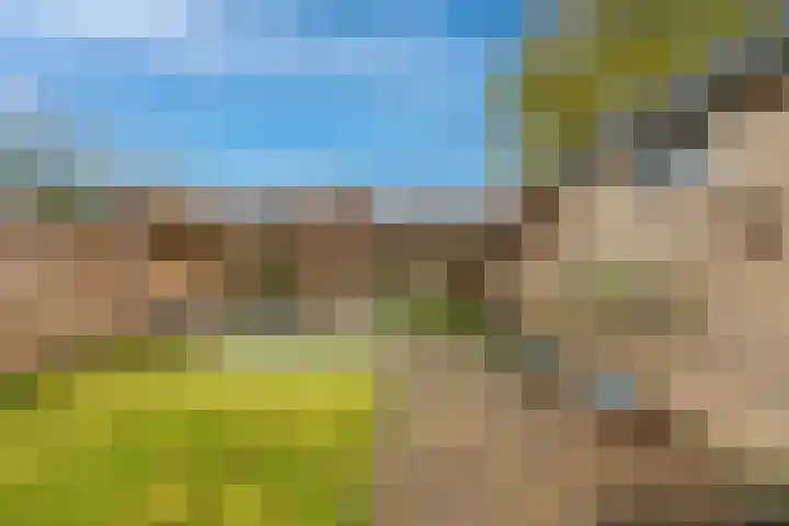 Lierdererf 4 Lieren thumbnail 26