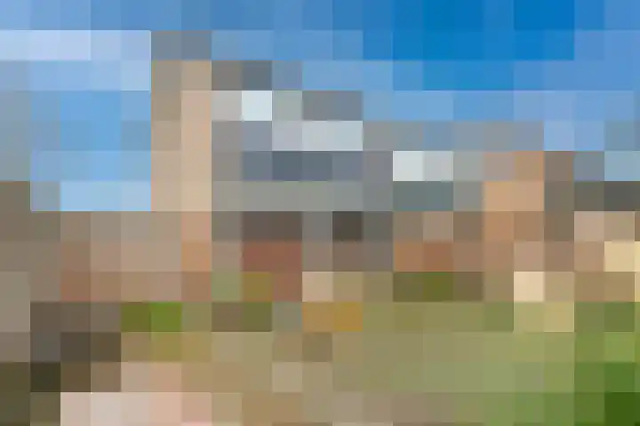 Lierdererf 4 Lieren thumbnail 27