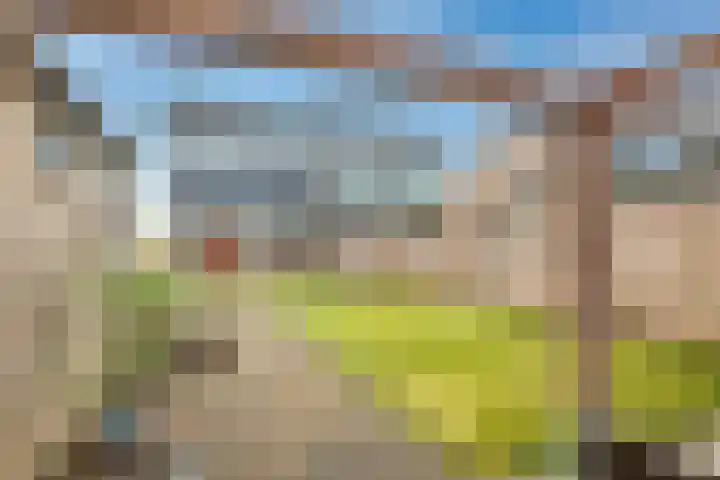 Lierdererf 4 Lieren thumbnail 4