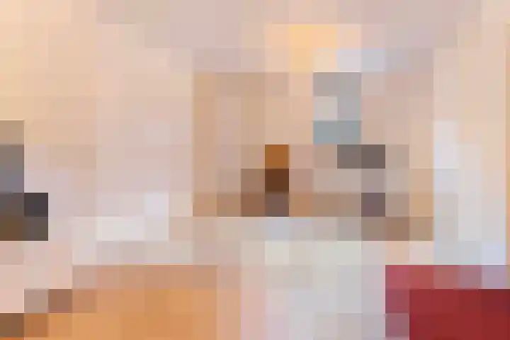 Lierdererf 43 Lieren thumbnail 33