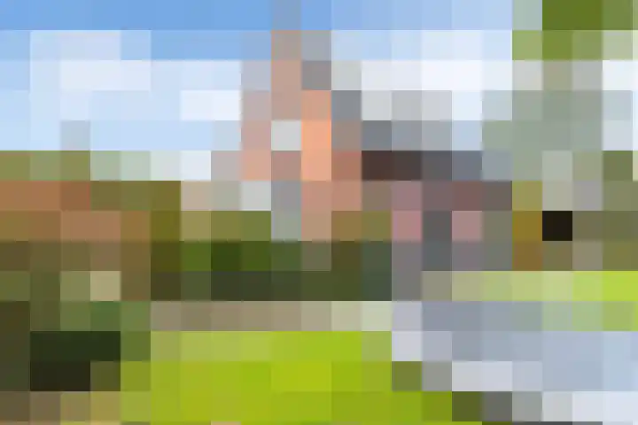 Lierdererf 43 Lieren thumbnail 34