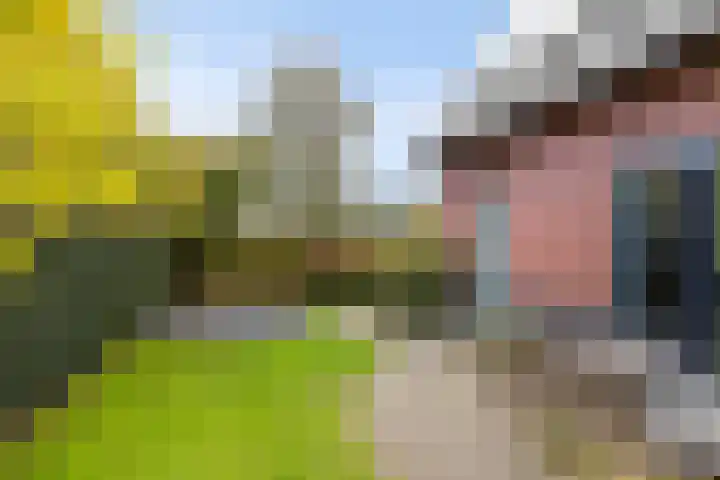 Lierdererf 43 Lieren thumbnail 37