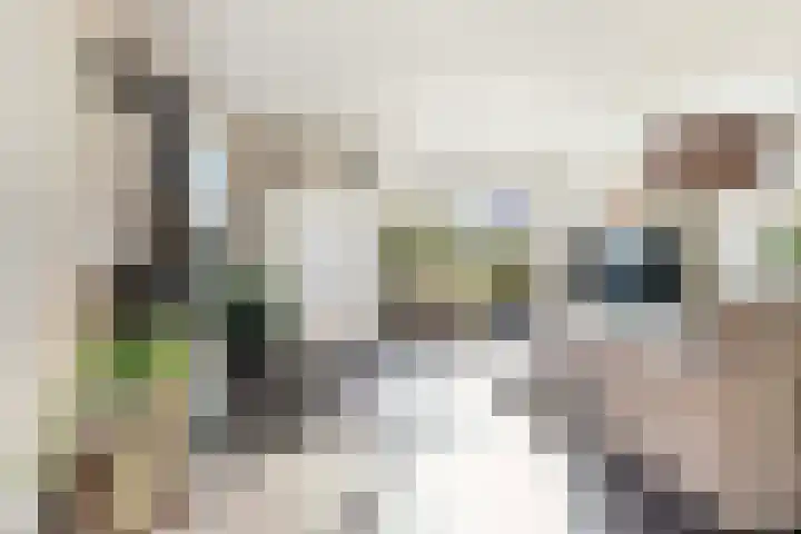 Lierdererf 43 Lieren thumbnail 7