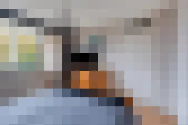 Liesberg 13 Someren thumbnail 13